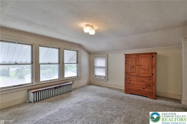 171 N New St, Nazareth Borough, PA 18064 - spare room with radiator heating unit, lofted ceiling, baseboards, and carpet