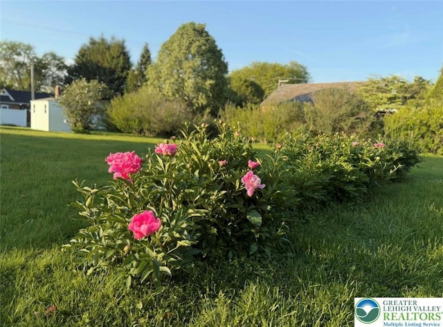 217 26th St, Allentown City, PA 18104 - view of green lawn