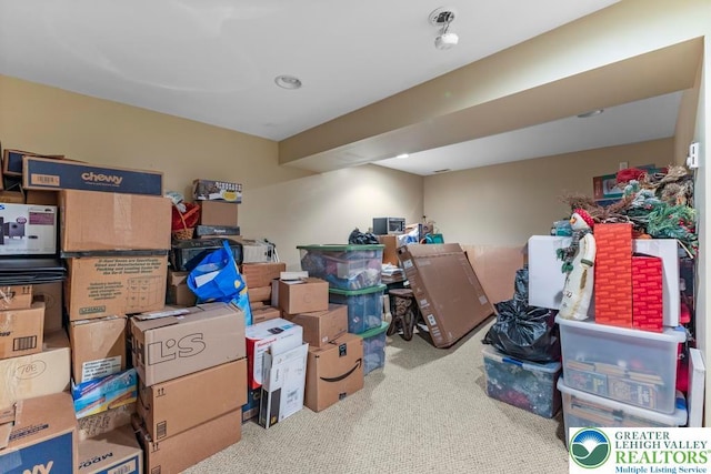 140 Birdie Way, Eldred Twp, PA 18058 - view of storage