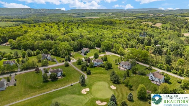 140 Birdie Way, Eldred Twp, PA 18058 - bird's eye view of a forest