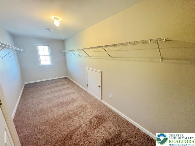 4620 Graystone Dr, Lower Nazareth Twp, PA 18064 - spacious closet with carpet floors