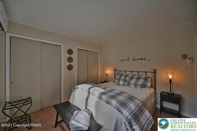 36 Maplewood Rd, Kidder Township S, PA 18624 - bedroom featuring two closets and carpet floors