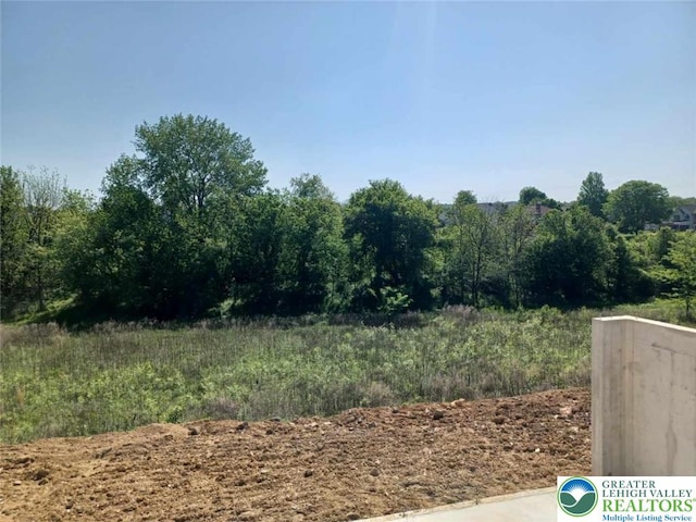 311 Knollwood Dr, Forks Twp, PA 18040 - view of yard