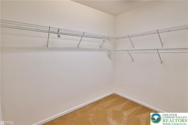 27 Willow Dr, Palmer Twp, PA 18045 - walk in closet featuring light colored carpet