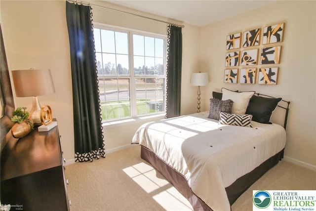 3420 Gentlewind Way Unit Ic 110, Emmaus Borough, PA 18049 - bedroom with baseboards, carpet flooring, and multiple windows