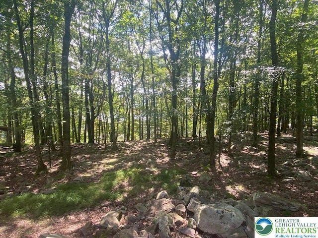 29 Moseywood Rd, Kidder Township S, PA 18624 - view of undeveloped land