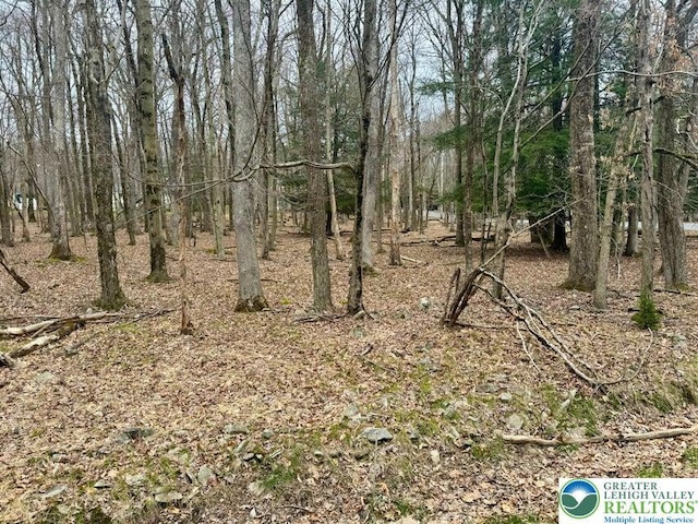 29 Moseywood Rd, Kidder Township S, PA 18624 - view of undeveloped land