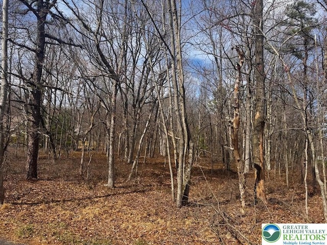 29 Moseywood Rd, Kidder Township S, PA 18624 - view of nature