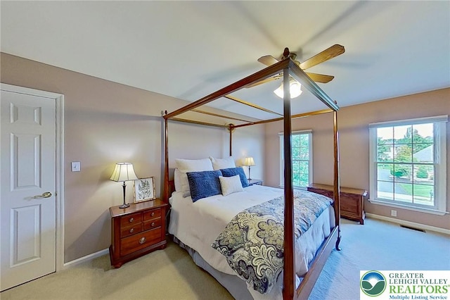 168 Forsythia Ln, Upper Macungie Twp, PA 18104 - bedroom featuring light carpet, multiple windows, and baseboards