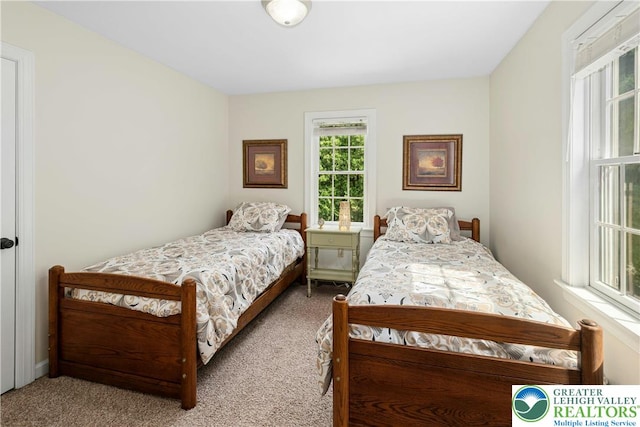 3139 Wilson Ave, Bethlehem Twp, PA 18020 - view of carpeted bedroom