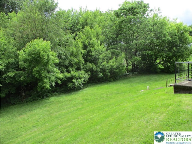 244 High St, Tatamy Borough, PA 18085 - view of grassy yard