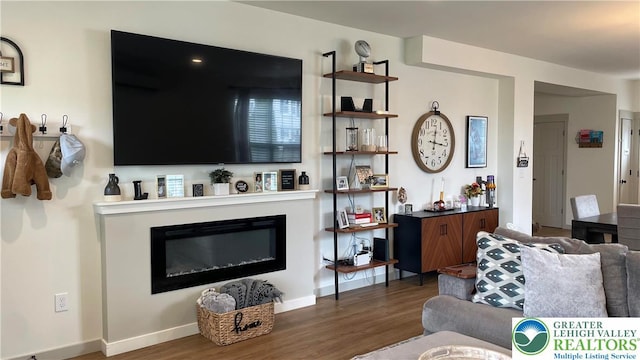331 Minor St, Emmaus Borough, PA 18049 - living room with wood finished floors, a glass covered fireplace, and baseboards