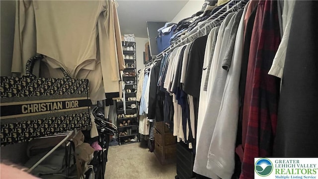 331 Minor St, Emmaus Borough, PA 18049 - spacious closet featuring carpet floors