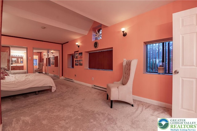2107 3rd St, Bethlehem Twp, PA 18020 - bedroom featuring carpet, a baseboard heating unit, and baseboards