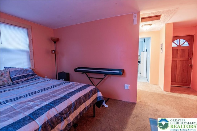 2107 3rd St, Bethlehem Twp, PA 18020 - view of carpeted bedroom