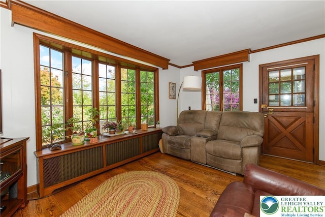 215 S 22nd St, Allentown City, PA 18104 - living room with wood finished floors, radiator, and ornamental molding