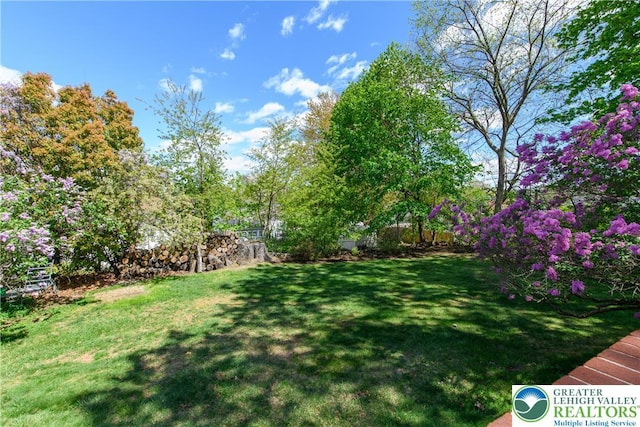 215 S 22nd St, Allentown City, PA 18104 - view of grassy yard
