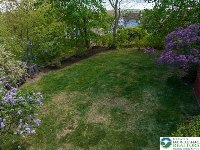 215 S 22nd St, Allentown City, PA 18104 - view of green lawn with a water view