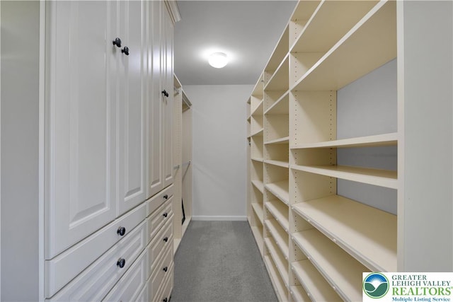 8604 Cascade Rd, Upper Macungie Twp, PA 18031 - walk in closet featuring carpet