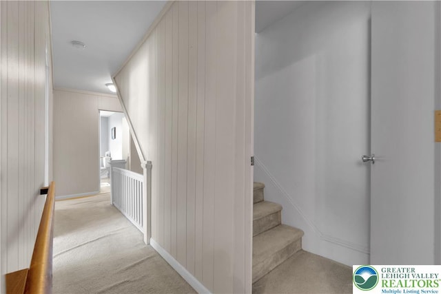 622 Scholl Ave, Salisbury Twp, PA 18015 - stairway featuring carpet and wooden walls