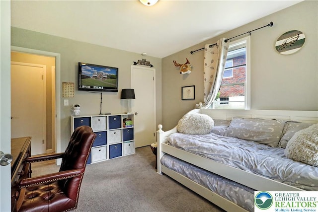 613 S Hoffert St, Fountain Hill Boro, PA 18015 - bedroom with carpet floors