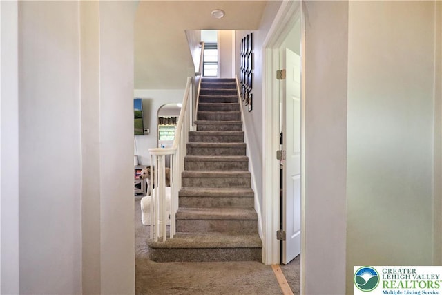 613 S Hoffert St, Fountain Hill Boro, PA 18015 - stairs featuring carpet flooring and plenty of natural light