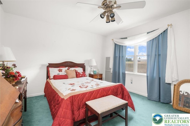 275 Ridings Cir, Macungie Borough, PA 18062 - bedroom featuring carpet, baseboards, and a ceiling fan