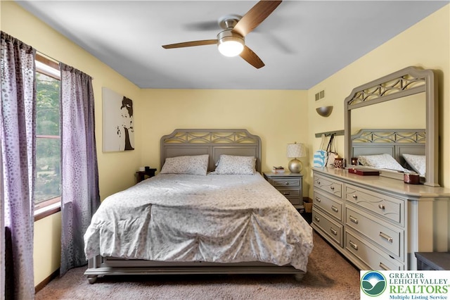 5401 Hale Ave, Hanover Twp, PA 18017 - carpeted bedroom featuring a ceiling fan