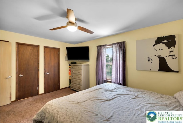 5401 Hale Ave, Hanover Twp, PA 18017 - carpeted bedroom with two closets and a ceiling fan