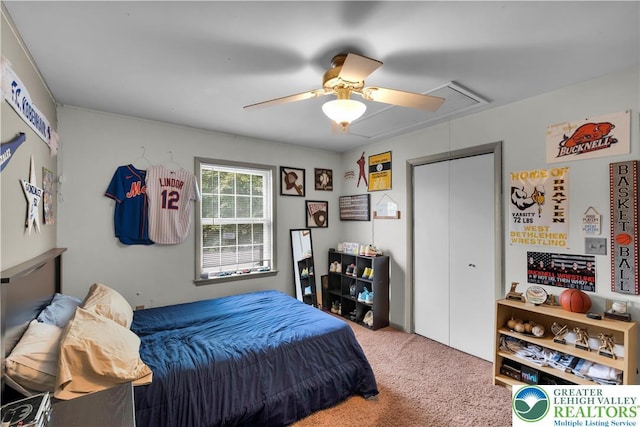 5401 Hale Ave, Hanover Twp, PA 18017 - bedroom with attic access, carpet, a ceiling fan, and a closet
