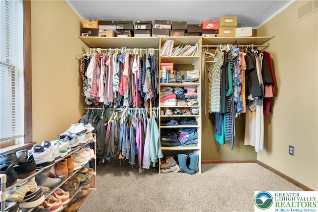 5401 Hale Ave, Hanover Twp, PA 18017 - walk in closet with carpet