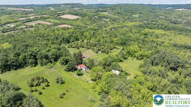 408 Kintner Hill Rd, Nockamixon Twp, PA 18972 - bird's eye view of a heavily wooded area