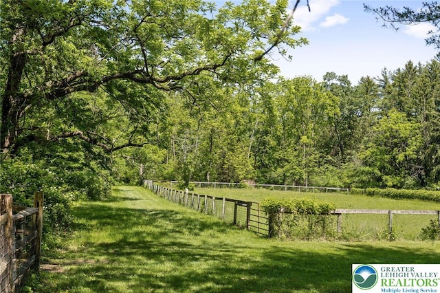 408 Kintner Hill Rd, Nockamixon Twp, PA 18972 - view of yard with a view of trees