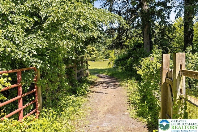 408 Kintner Hill Rd, Nockamixon Twp, PA 18972 - view of road