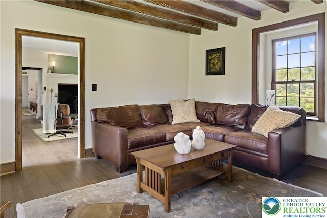 408 Kintner Hill Rd, Nockamixon Twp, PA 18972 - living room featuring hardwood / wood-style flooring, beam ceiling, and baseboards