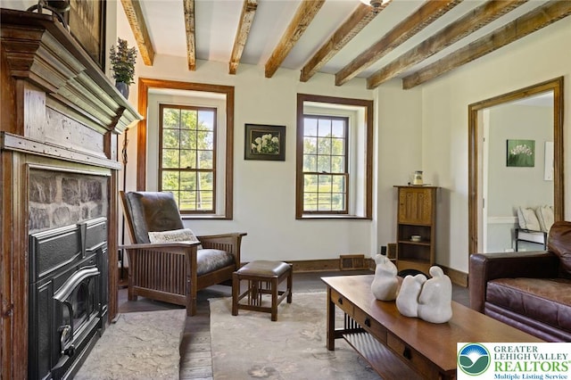 408 Kintner Hill Rd, Nockamixon Twp, PA 18972 - living area with beam ceiling
