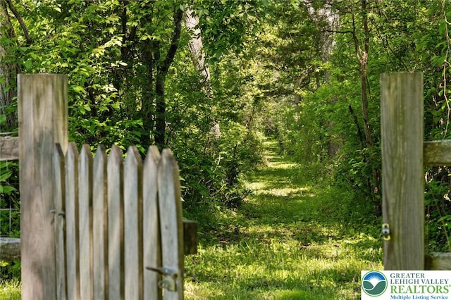 408 Kintner Hill Rd, Nockamixon Twp, PA 18972 - view of yard with a view of trees