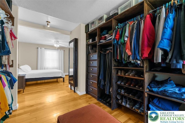 3079 Eldridge Ave, Palmer Twp, PA 18045 - walk in closet with hardwood / wood-style floors and a ceiling fan