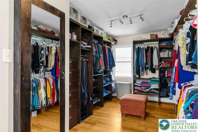 3079 Eldridge Ave, Palmer Twp, PA 18045 - spacious closet with wood finished floors