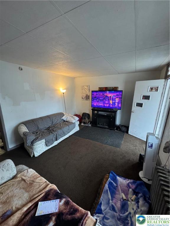 109 S Chestnut St, Summit Hill Borough, PA 18250 - view of carpeted living area