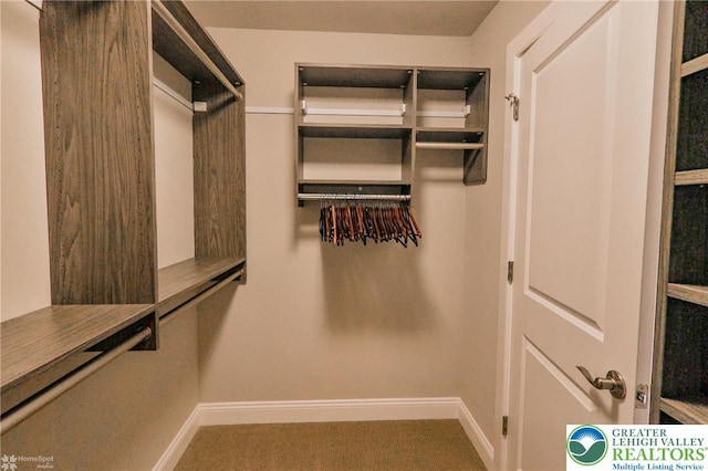 3896 Independence Dr, Easton, PA 18045 - view of spacious closet