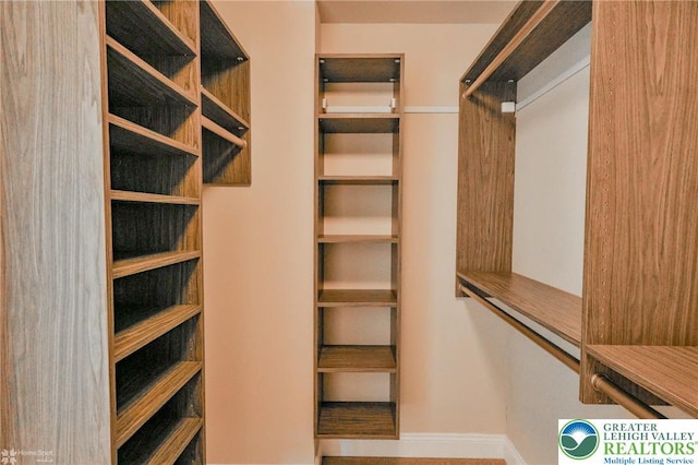 3896 Independence Dr, Easton, PA 18045 - view of walk in closet