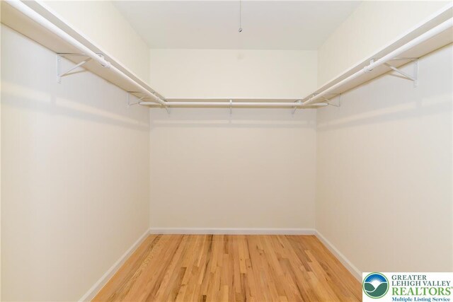 1360 Cherry Ave, Hanover Twp, PA 18017 - walk in closet with light wood-style flooring