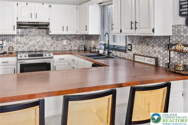 64 Autumn Ln, Penn Forest Twp, PA 18229 - kitchen with stainless steel range with electric cooktop, under cabinet range hood, wooden counters, and tasteful backsplash