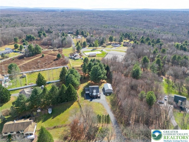 64 Autumn Ln, Penn Forest Twp, PA 18229 - aerial view of a forest