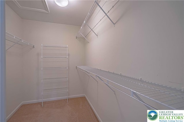 8592 Cascade Rd, Upper Macungie Twp, PA 18031 - walk in closet featuring light carpet