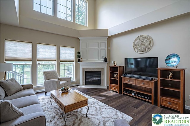 8592 Cascade Rd, Upper Macungie Twp, PA 18031 - living area featuring dark wood finished floors, a glass covered fireplace, and a high ceiling