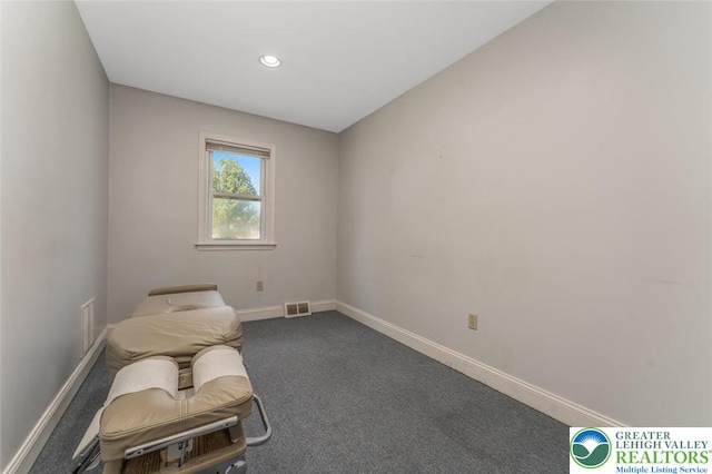 825 Old Philadelphia Rd, Easton, PA 18042 - sitting room with carpet flooring, baseboards, and recessed lighting