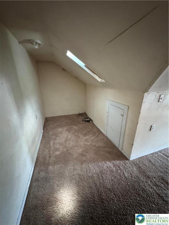 226 Adrain St, Emmaus Boro, PA 18049 - bonus room featuring vaulted ceiling, carpet flooring, and a skylight