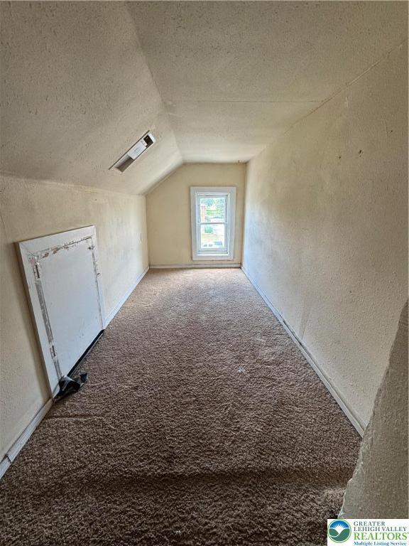 226 Adrain St, Emmaus Boro, PA 18049 - additional living space featuring vaulted ceiling, a textured wall, a textured ceiling, and carpet flooring